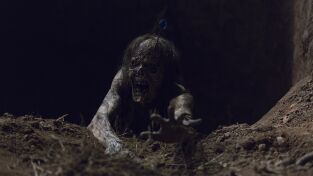 The Walking Dead. T(T9). The Walking Dead (T9): Ep.10 Omega