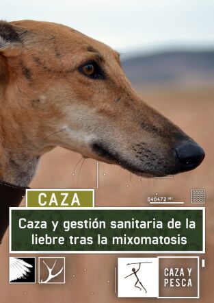 Caza y gestión sanitaria tras la mixomatosis