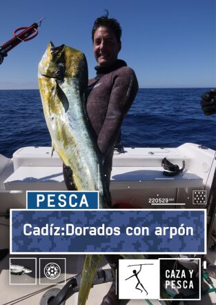 Cádiz, dorados con arpón