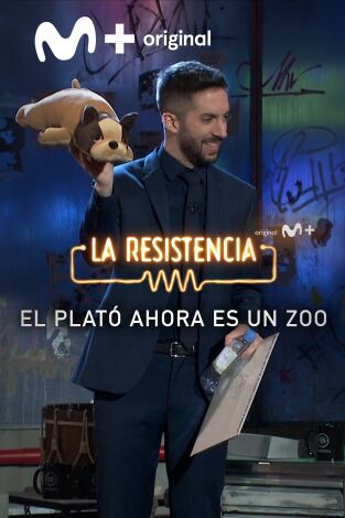 Lo + del público. T(T5). Lo + del público (T5): El público regala animales - 15.11.21