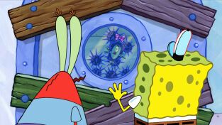 Bob Esponja  Single Story. T(T9). Bob Esponja ... (T9): Licencia de malteadas