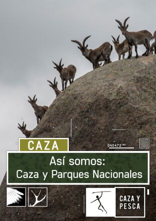 Así somos. T(T1). Así somos (T1): Caza y Parques Nacionales