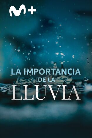 La importancia de la lluvia