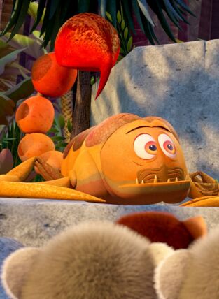 Viva el Rey Julien. T(T1). Viva el Rey Julien (T1): El rey que quería reinar