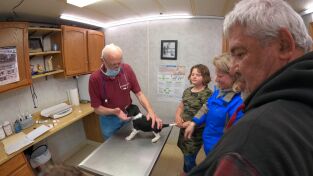 El increíble doctor Pol. El increíble doctor Pol: Marco Pol-O