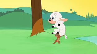 El show de Tom y Jerry. T(T5). El show de Tom y... (T5): Loco por la corderita
