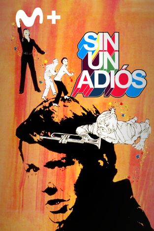 Sin un adiós
