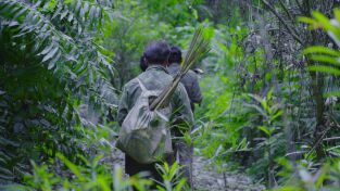 Supervivencia en la tribu: Mekong. Supervivencia en la...: Descenso mortal