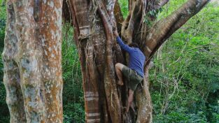 Supervivencia en la tribu: Mekong. Supervivencia en la...: En busca de los más apreciados hongos