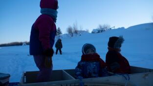 Los primeros habitantes de Alaska. Los primeros...: Alimentos que provee la naturaleza