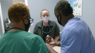 Critter fixers: Veterinarios rurales. Critter fixers:...: El héroe de Titan
