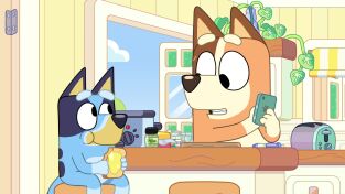 Bluey. T(T3). Bluey (T3): Conducir