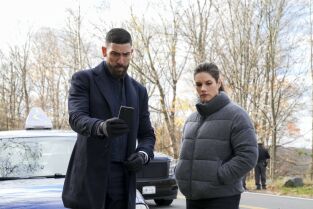 FBI. T(T5). FBI (T5): Ep.10 Héroes