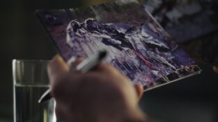 Mayday: Catástrofes aéreas. Mayday: Catástrofes...: Intercambio letal