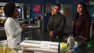 Navy: Investigación criminal. T(T20). NCIS: Naval... (T20): Ep.16 El efecto mariposa