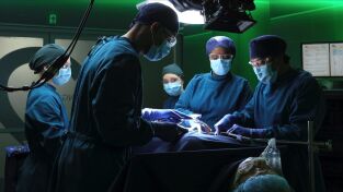 The Good Doctor. T(T6). The Good Doctor (T6): Ep.18 Un lapsus