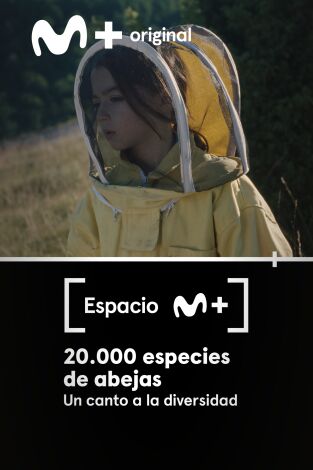 Espacio M+. T(T1). Espacio M+ (T1): 20.000 especies de abejas