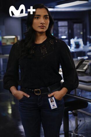 The Blacklist. T(T10). The Blacklist (T10): Ep.9 El granjero troll (nº 38): parte 3