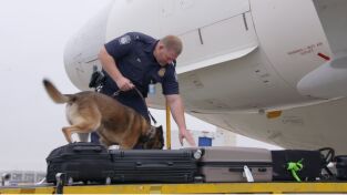 Control de aeropuertos: USA. Control de...: "Breaking Bad" en la vida real