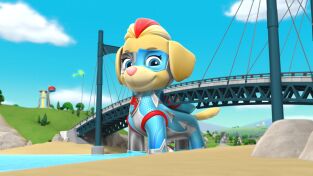 La patrulla canina Single Story. T(T6). La patrulla... (T6): La Patrulla salva a las crías de avestruz.