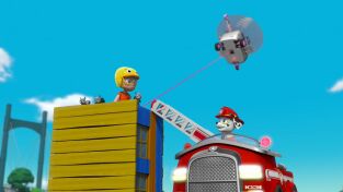 La patrulla canina Single Story. T(T6). La patrulla... (T6): La patrulla salva a los Turbot en el concurso de avistar aves