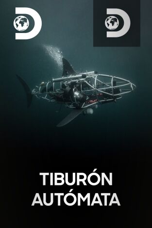 El tiburón autómata
