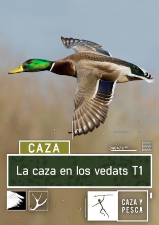 La caza en los Vedats