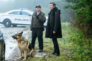 Hudson y Rex. T(T5). Hudson y Rex (T5): Ep.2 Sonado