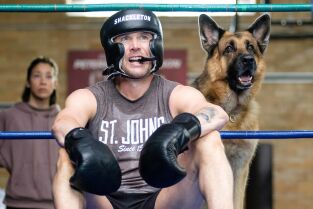 Hudson y Rex. T(T5). Hudson y Rex (T5): Ep.3 Corre, Donovan, corre