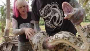 Serpientes en la ciudad. Serpientes en la ciudad: Una pitón monstruosa