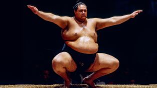 Gigantes del sumo. Gigantes del sumo: Nuevo en la ciudad