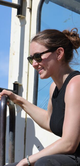 La fiebre del oro. La fiebre del oro