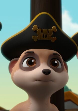 La Patrulla Canina. T(T10). La Patrulla Canina (T10): La patrulla en la selva salva a las suricatas piratas / La Patrulla en la selva salva a hum-hipo