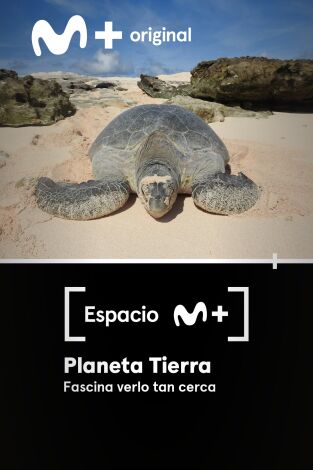 Espacio M+. T(T1). Espacio M+ (T1): Planeta Tierra. Fascina verlo tan cerca