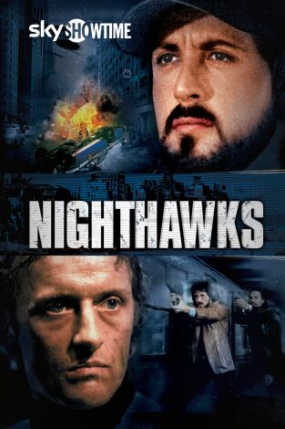 Halcones de la noche