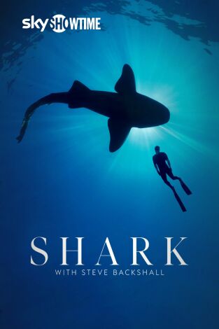 Shark with Steve Backshall. Shark with Steve Backshall 
