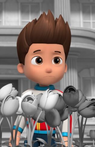 La Patrulla Canina. T(T10). La Patrulla Canina (T10): La patrulla salva a sus amigos digi-tales / La patrulla salva el arcoíris