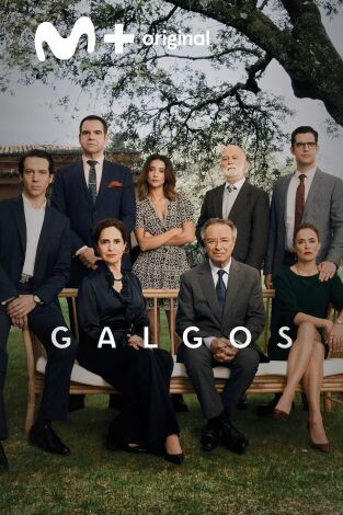 Galgos. T(T1). Galgos (T1)