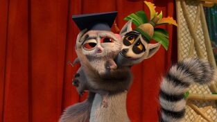 Viva el Rey Julien. T(T3). Viva el Rey Julien (T3)