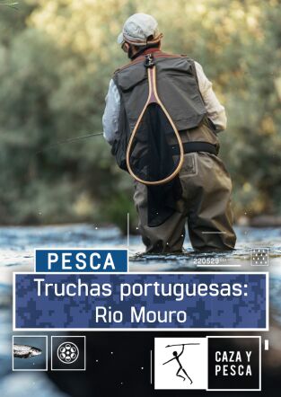 Truchas portuguesas. T(T1). Truchas portuguesas (T1): Truchas Portuguesas: Rio Mouro