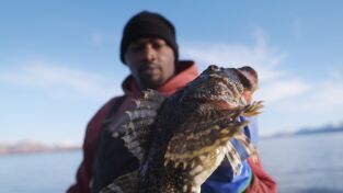 Los primeros habitantes de Alaska. Los primeros...: La fuerza de la familia