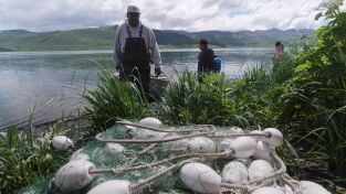 Los primeros habitantes de Alaska. Los primeros...: Buena medicina