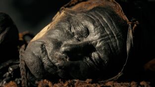 Arqueología de la muerte. Arqueología de la muerte: El hombre de Tollund: halló la paz eterna en la turba