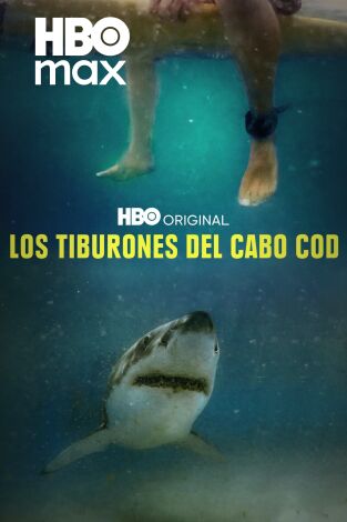 Los tiburones del Cabo Cod