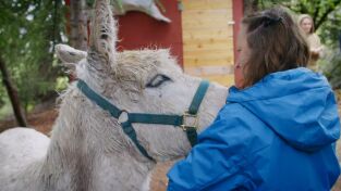 Una veterinaria todoterreno. Una veterinaria...: Las mujeres Oakley no hacen burradas