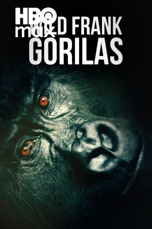 Wild Frank Gorilas. Wild Frank Gorilas 