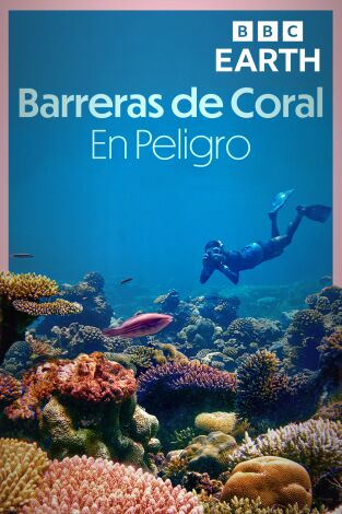 Barreras de coral en peligro