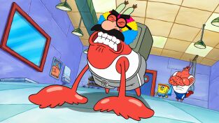 Bob Esponja. T(T14). Bob Esponja (T14): Defensa unicelular / La Sra. Puff y los musculitos