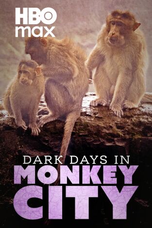 Monkey City