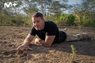 Hipopótamos y cocodrilos con Steve Backshall. Hipopótamos y...: Hipopótamos con Steve Backshall II